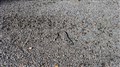 thumbnail_20170626_164519.jpg