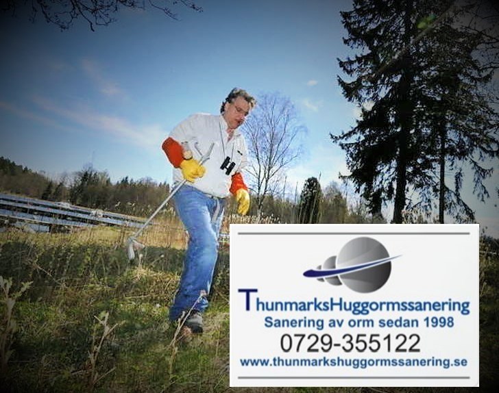 Sanering av ormar